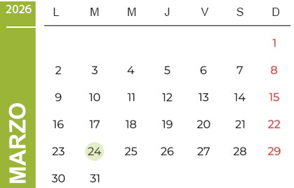 Feriados Marzo 2025